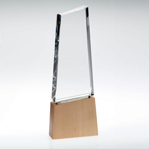 Clear Glass Block On Light Wood Base With Colour Flash (32mm Thick) - 222mm by Legacy Outfitters