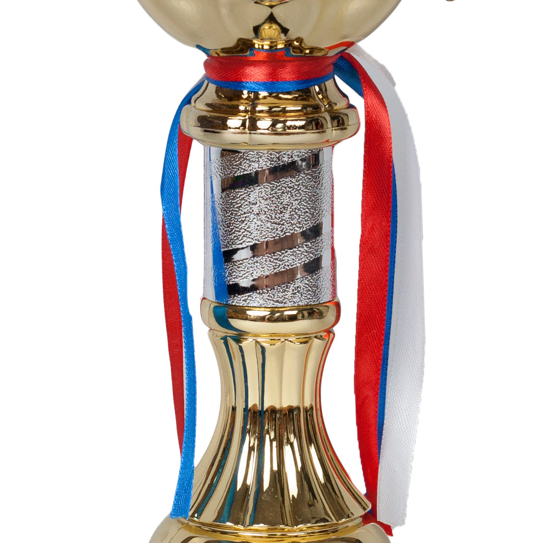 Heritage Victory Cup Gold Trophy Zoomed by School Badges UK