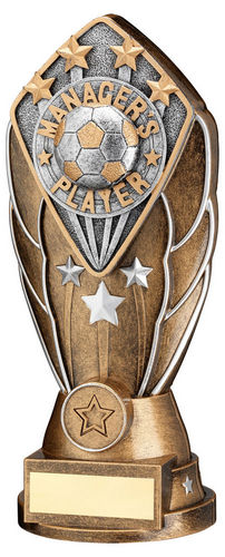 Bz/Silv Diamond Column + Managers Player Disc & Plate (1in Cen) - 171mm by Legacy Outfitters