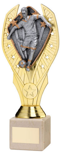 Gold Plastic Holder + Male Football Disc On Cream Marble Trophy (1in Cen) - 197mm by Legacy Outfitters