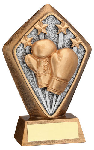 BRZ/GOLD DIAMOND HOLDER WITH BOXING DISC WITH PLATE - 5.25in