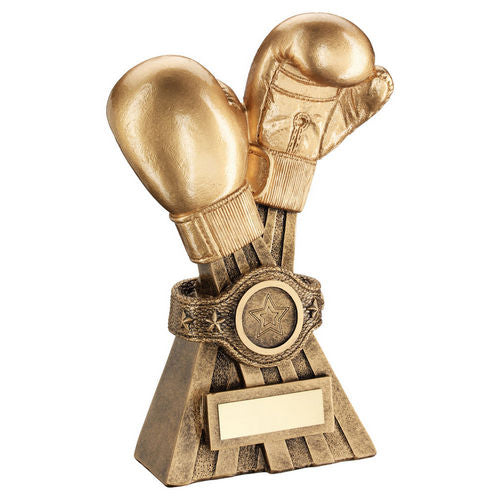 Gold/Brz Boxing Gloves With Belt With Plate (1in Centre) - 152mm by Legacy Outfitters