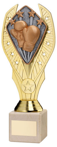 Gold Plastic Holder + Boxing Disc On Cream Marble Trophy (1in Cen) - 197mm by Legacy Outfitters