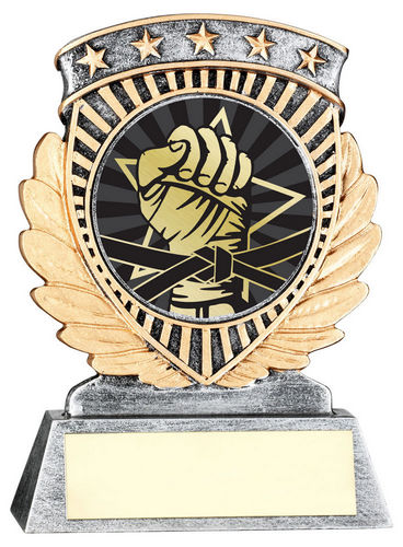 Pew/Gold 5 Star Holder With Vinyl Martial Arts Insert & Plate - 95mm by Legacy Outfitters