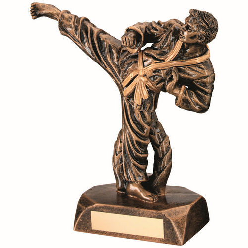 Brz/Gold Resin Karate Figure With Plate - 165mm by Legacy Outfitters