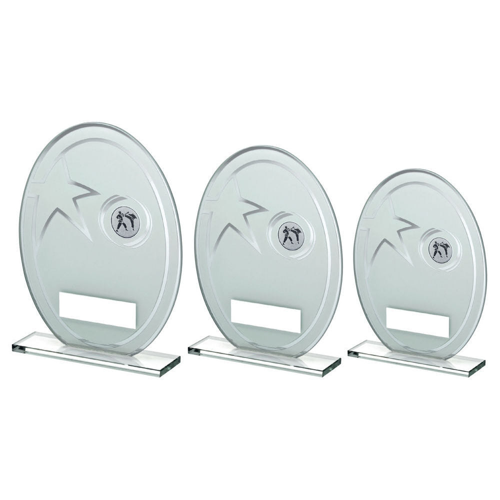 White/Silver Printed Glass Oval With Karate Insert And Plate by Legacy Outfitters