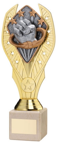 Gold Plastic Holder + Martial Arts Disc On Cream Marble Trophy (1in Cen) - 197mm by Legacy Outfitters