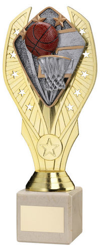 Gold Plastic Holder + Basketball Disc On Cream Marble Trophy (1in Cen) - 197mm by Legacy Outfitters