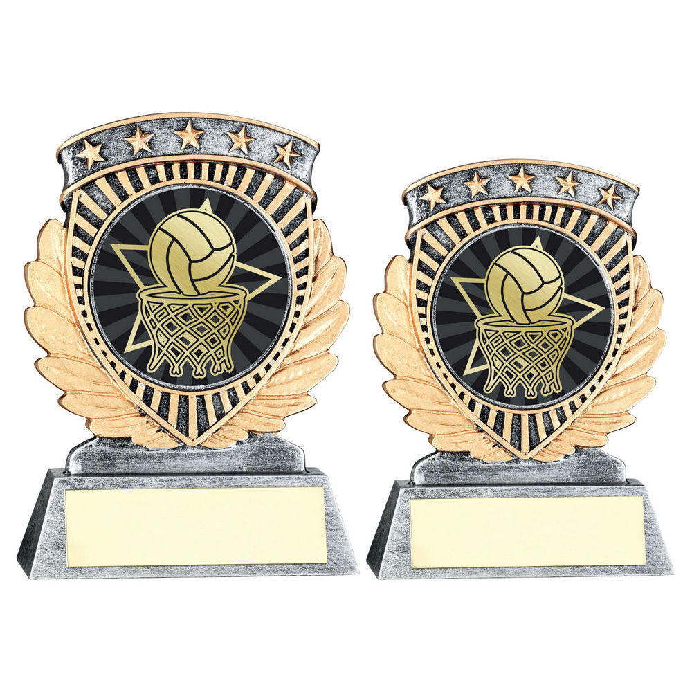 Pew/Gold 5 Star Holder With Vinyl Netball Insert & Plate by Legacy Outfitters