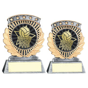 Pew/Gold 5 Star Holder With Vinyl Netball Insert & Plate by Legacy Outfitters