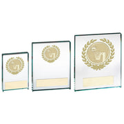JADE/GOLD GLASS BLOCK WITH NETBALL INSERT AND PLATE
