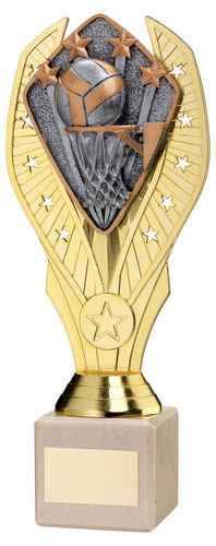 Gold Plastic Holder + Netball Disc On Cream Marble Trophy (1in Cen) - 197mm by Legacy Outfitters