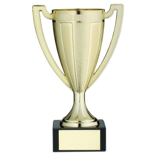 Gold Plastic Stippled Trophy Cup With Plate - 114mm by Legacy Outfitters