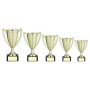Gold Plastic Stippled Trophy Cup With Plate by Legacy Outfitters
