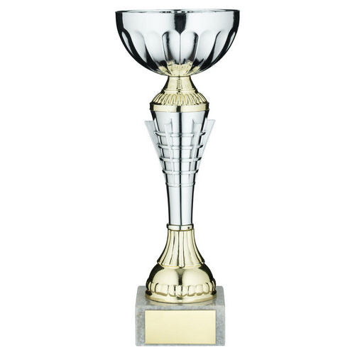 Silv/Gold Spiro Trophy Cup With Plate - 191mm by Legacy Outfitters