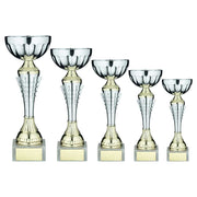Silv/Gold Spiro Trophy Cup With Plate by Legacy Outfitters
