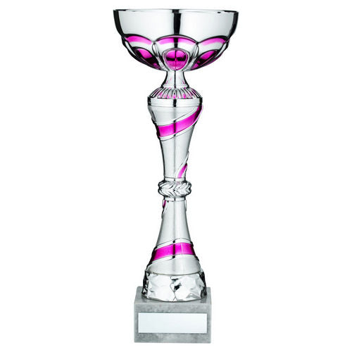 Silver/Pink Trophy Cup With Plate - 254mm by Legacy Outfitters