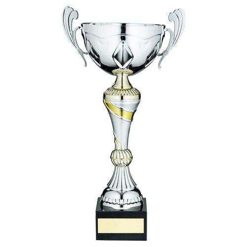 Silver/Gold Trophy Cup With Handles And Plate - 279mm by Legacy Outfitters