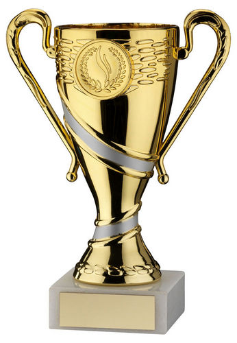 Gold/Matt Silver Plastic Trophy Cup With Plate (1in Centre) - 121mm by Legacy Outfitters
