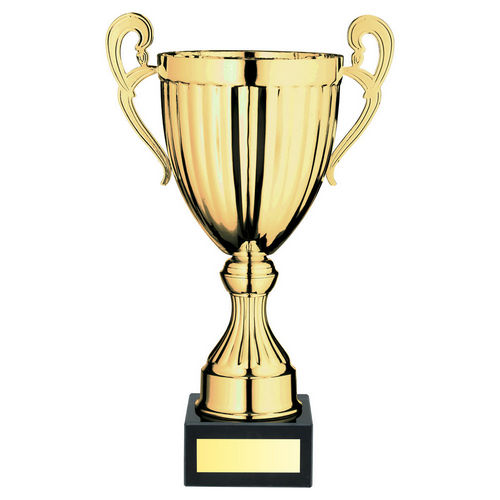 Gold Conical Trophy Cup With Handles And Plate - 260mm by Legacy Outfitters