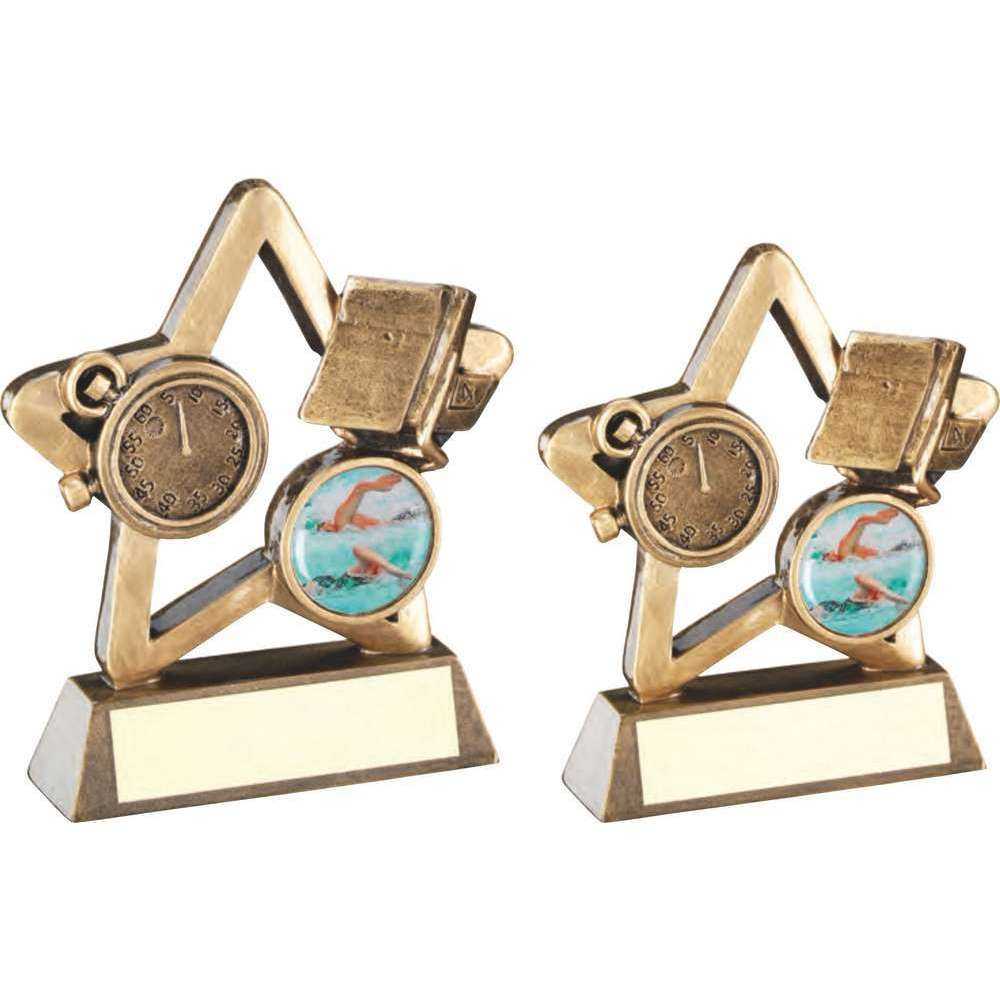 Brz/Gold Swimming Mini Star With Plate (1in Centre) by Legacy Outfitters