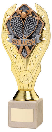 Gold Plastic Holder + Squash Disc On Cream Marble Trophy (1in Cen) - 197mm by Legacy Outfitters