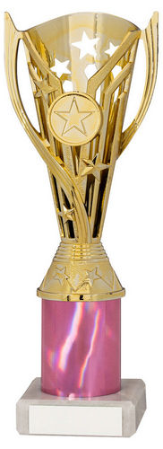 Gold/Pink Plastic Flash Cup Assembled On Marble (1in Cen) - 203mm by Legacy Outfitters