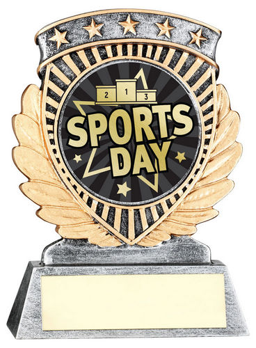 Pew/Gold 5 Star Holder With Vinyl Sports Day Insert & Plate - 95mm by Legacy Outfitters
