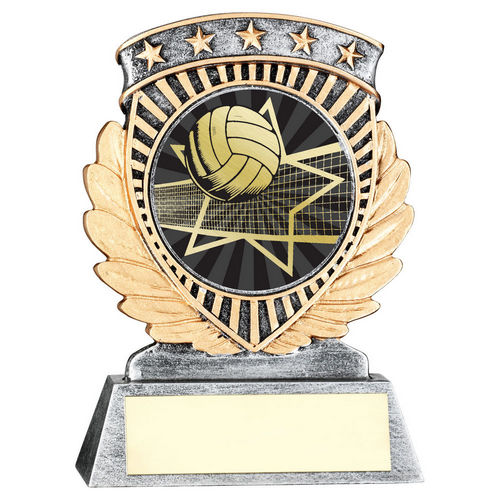Pew/Gold 5 Star Holder With Vinyl Volleyball Insert & Plate - 95mm by Legacy Outfitters