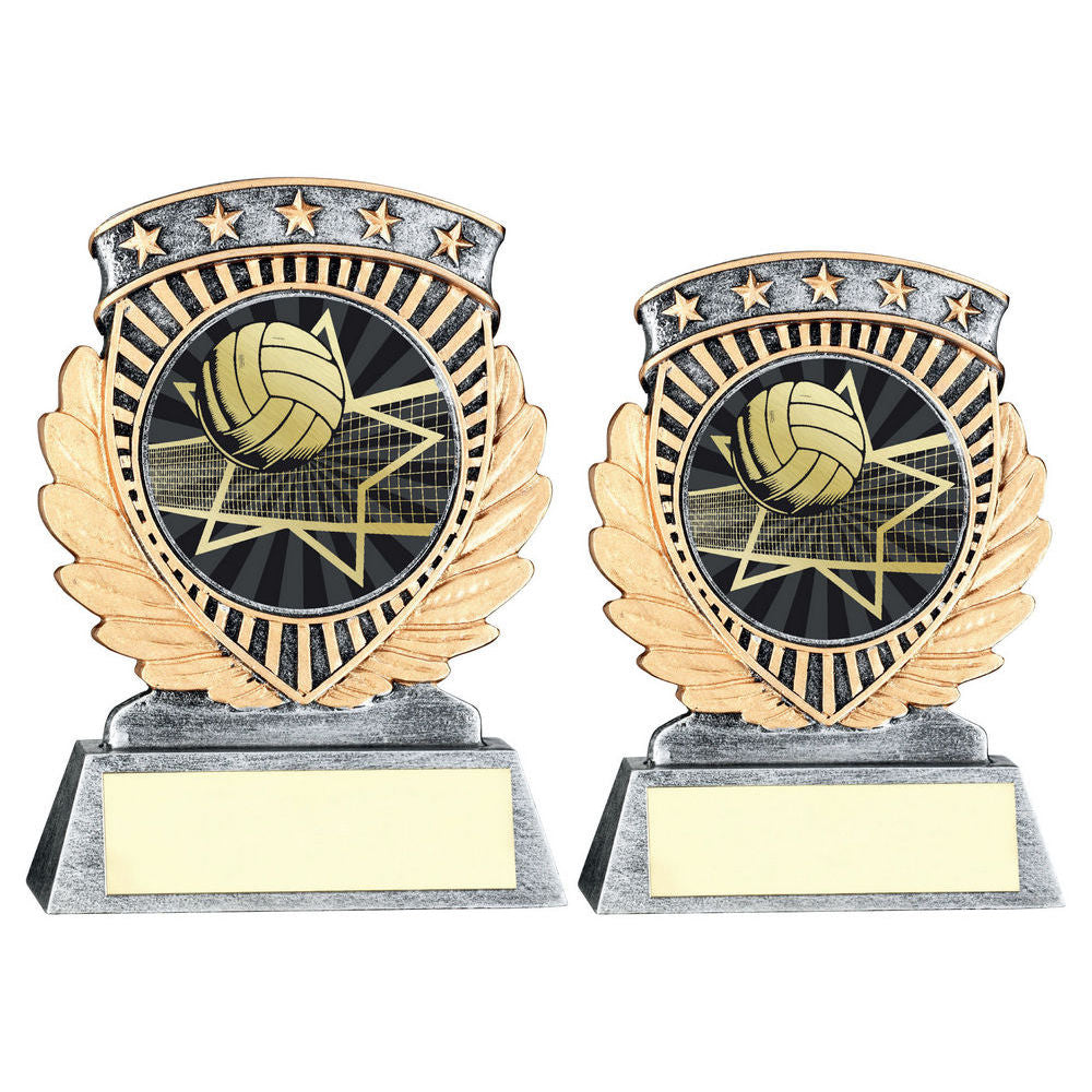Pew/Gold 5 Star Holder With Vinyl Volleyball Insert & Plate by Legacy Outfitters