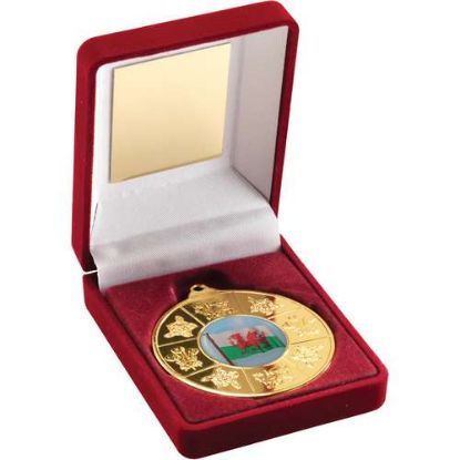 RED VELVET BOX AND 50mm MEDAL WALES (1in CENTRE)