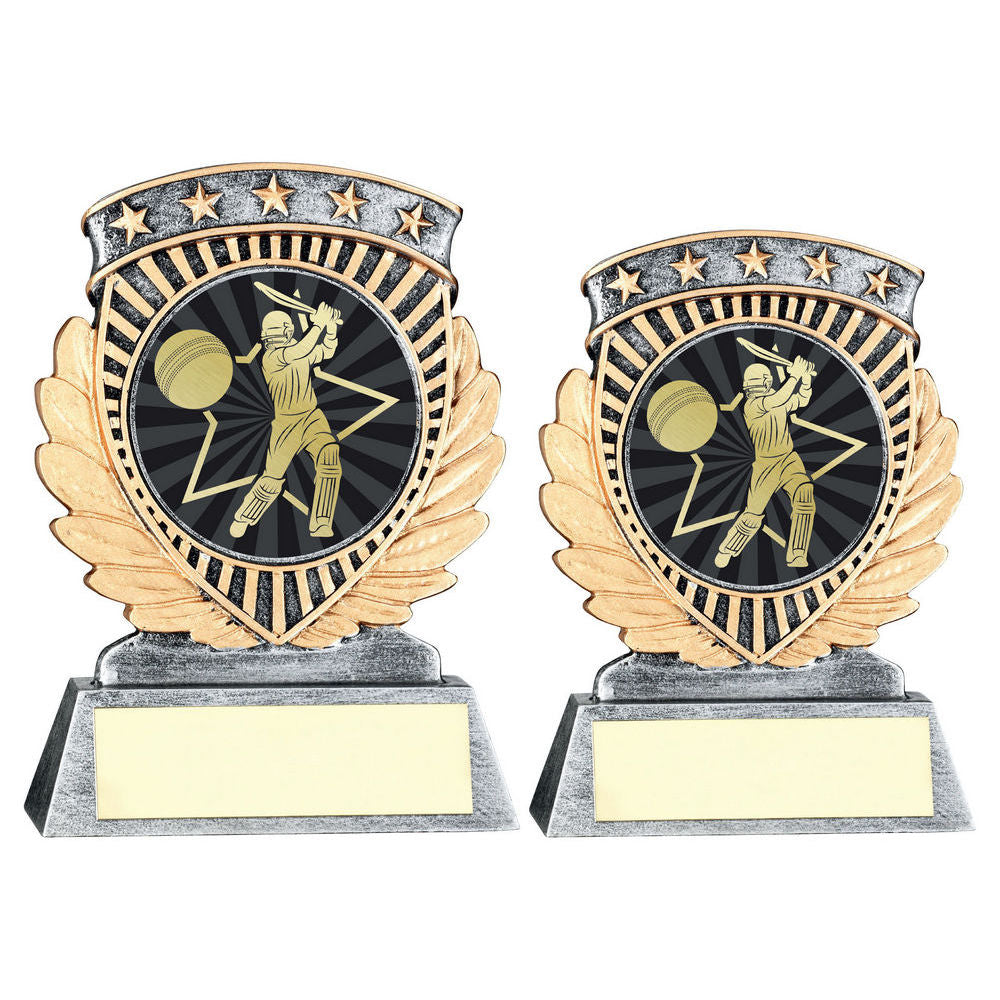 Pew/Gold 5 Star Holder With Vinyl Cricket Batsman Insert & Plate by Legacy Outfitters