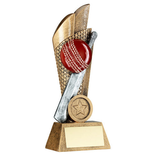 Brz/Pew/Gold Cricket Ball And Bat On Mesh Backdrop With Plate (1in Cen) - 127mm by Legacy Outfitters