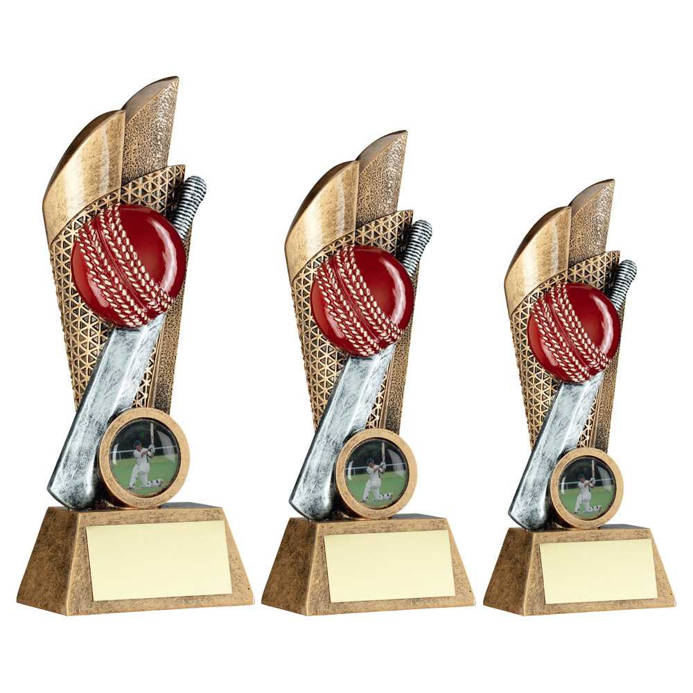 Brz/Pew/Gold Cricket Ball And Bat On Mesh Backdrop With Plate (1in Cen) by Legacy Outfitters