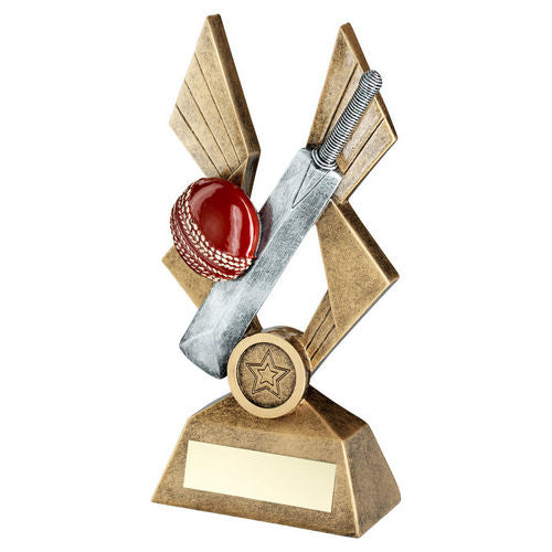 Brz/Pew/Red Cricket Ball And Bat On Pointed Backdrop With Plate (1in Cen) - 203mm by Legacy Outfitters