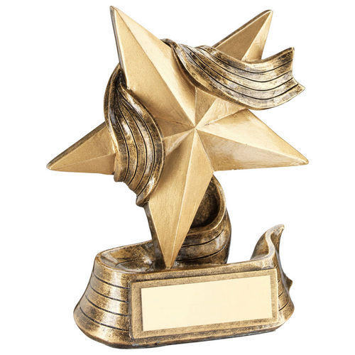 Brz/Gold Star And Ribbon Award With Plate - 102mm by Legacy Outfitters
