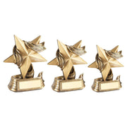 Brz/Gold Star And Ribbon Award With Plate by Legacy Outfitters