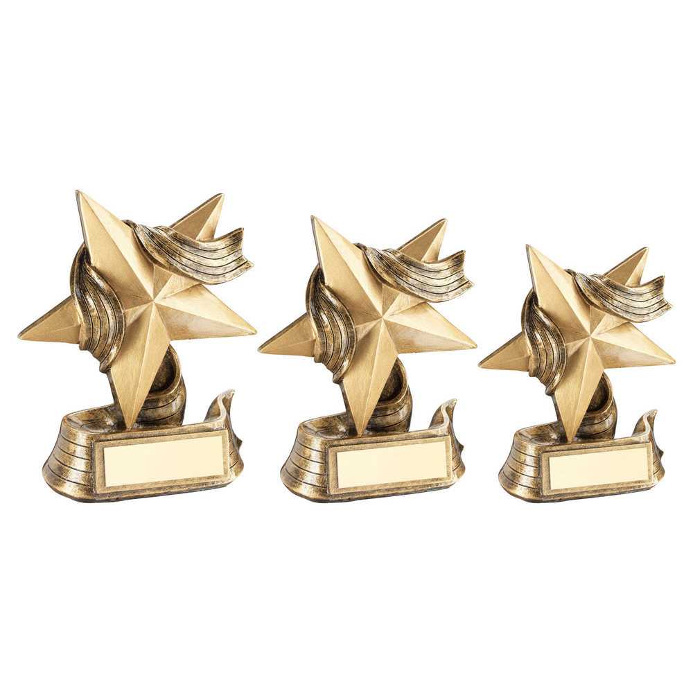 Brz/Gold Star And Ribbon Award With Plate by Legacy Outfitters