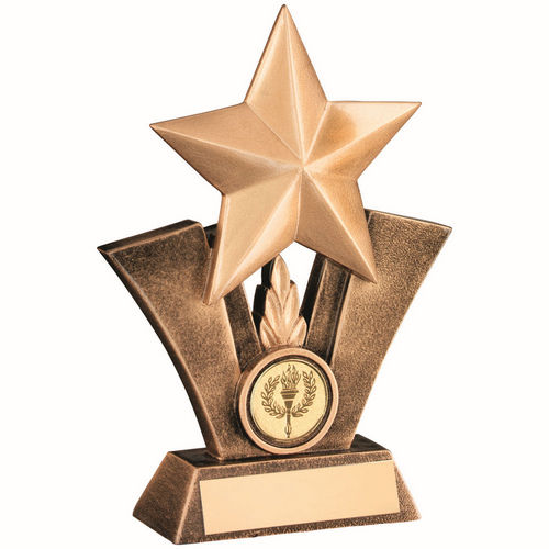 Brz/Gold Generic Star Resin With Plate (1in Centre) - 127mm by Legacy Outfitters