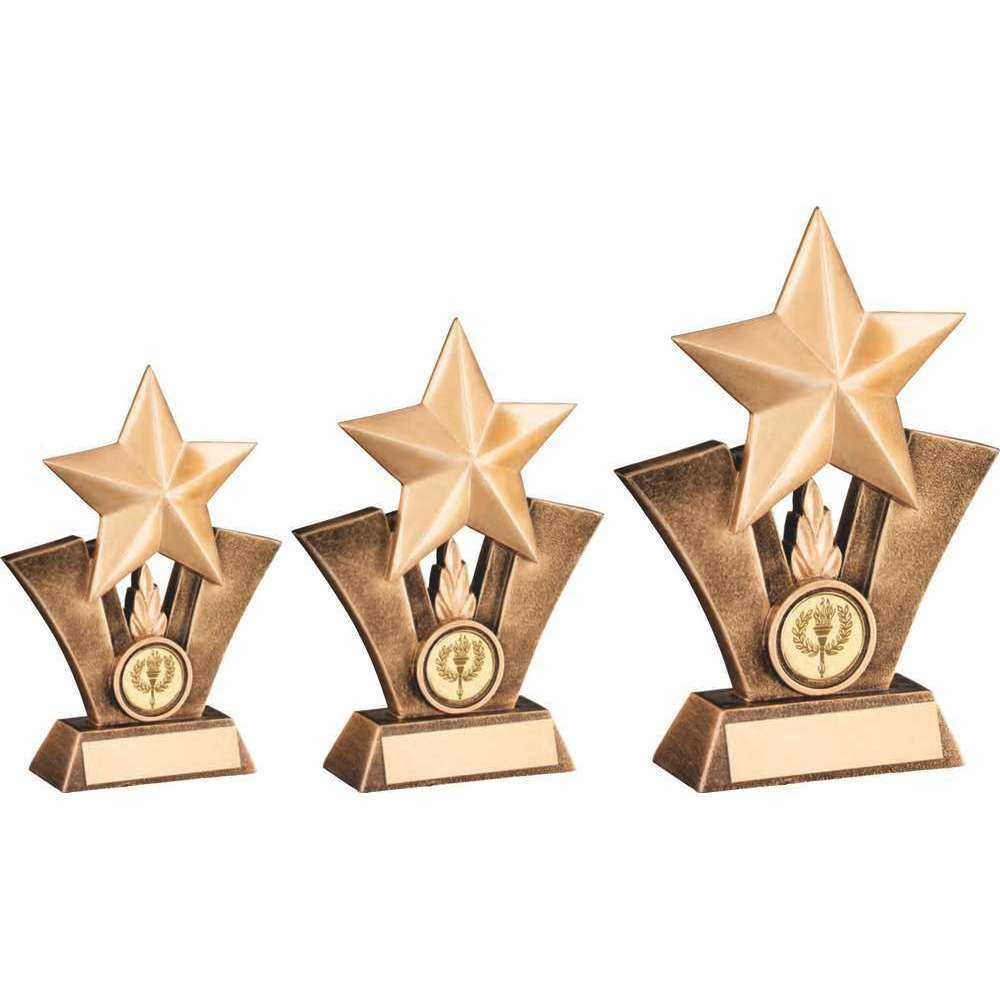 Brz/Gold Generic Star Resin With Plate (1in Centre) by Legacy Outfitters