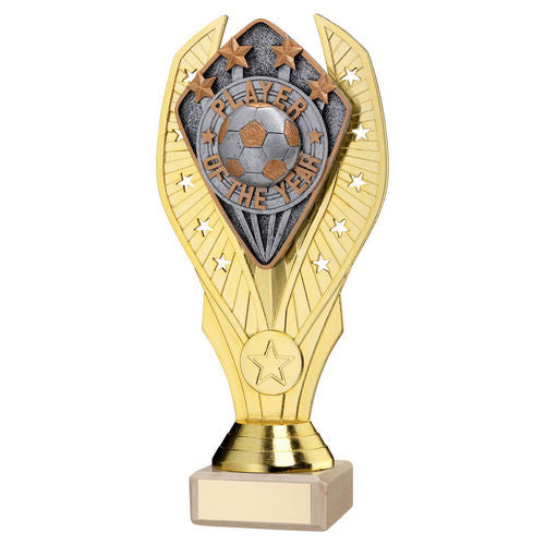 GOLD HOLDER + PLAYER OF THE YEAR DISC & CREAM MARBLE TROPHY (1in CEN)