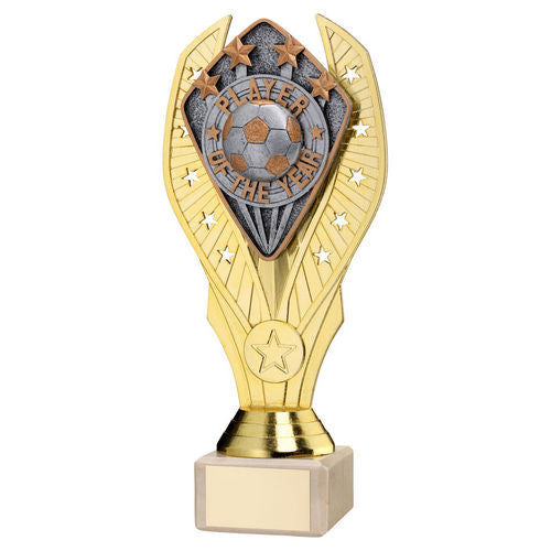 GOLD HOLDER + PLAYER OF THE YEAR DISC & CREAM MARBLE TROPHY (1in CEN)