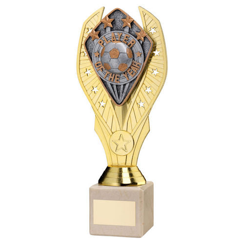 GOLD HOLDER + PLAYER OF THE YEAR DISC & CREAM MARBLE TROPHY (1in CEN)