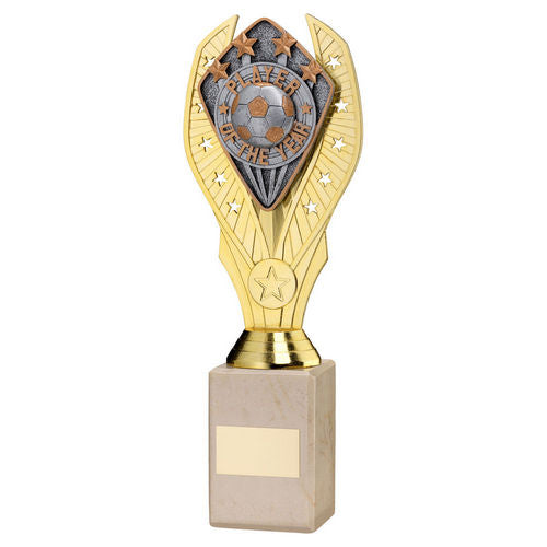 GOLD HOLDER + PLAYER OF THE YEAR DISC & CREAM MARBLE TROPHY (1in CEN)