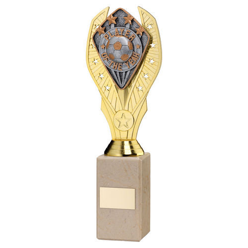 GOLD HOLDER + PLAYER OF THE YEAR DISC & CREAM MARBLE TROPHY (1in CEN)