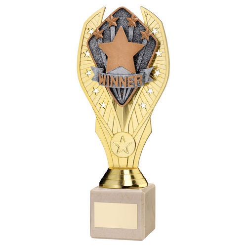 Gold Plastic Holder + Winner Disc On Cream Marble Trophy (1in Cen) - 197mm by Legacy Outfitters