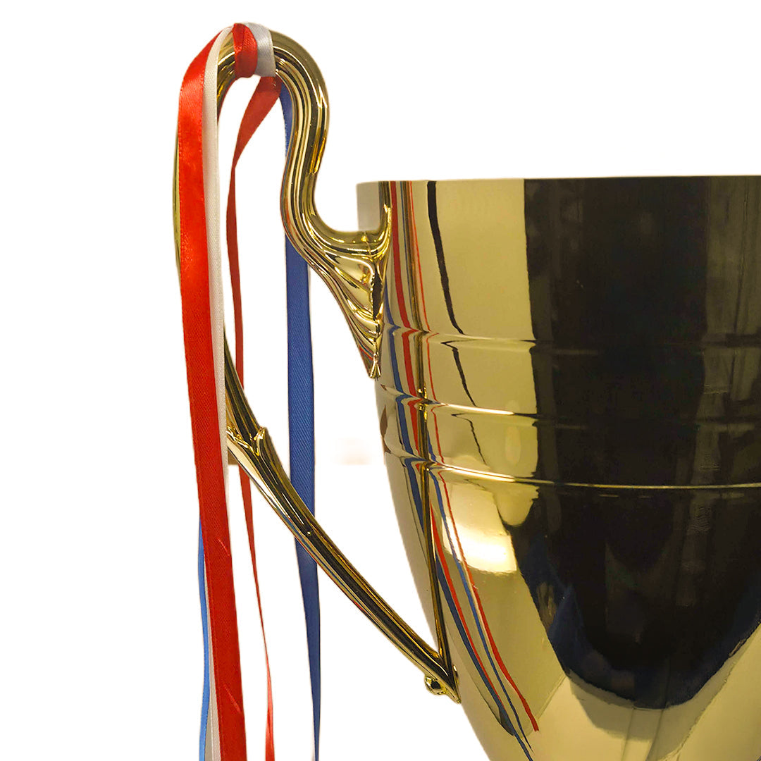 Legacy Cup Gold Trophy Handle by School Badges UK