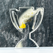 Nice Work Clear Acrylic Trophy by School Badges UK