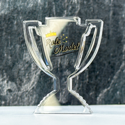 Role Model Clear Acrylic Trophy by School Badges UK