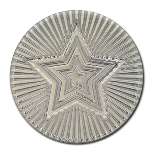 Round Star Metal Badge by School Badges UK